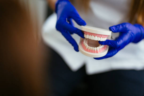  Sierra Ridge, CO Holistic Dental Services Pros